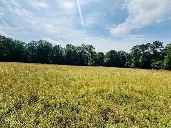 $899,950 | 2360 Sullivan Road, Meadville, MS 39653