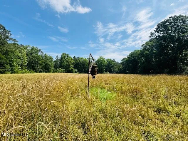 $999,950 | 2360 Sullivan Road, Meadville, MS 39653