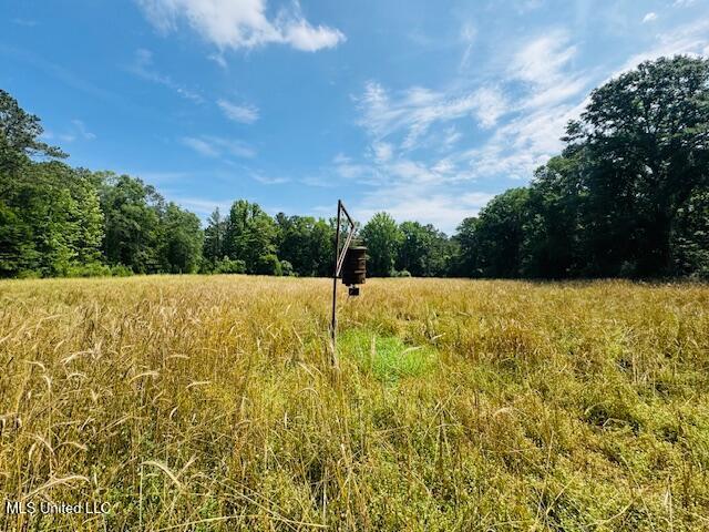 2360 Sullivan Road Meadville, MS 39653 - Photo 33 of 89 IMG_4428