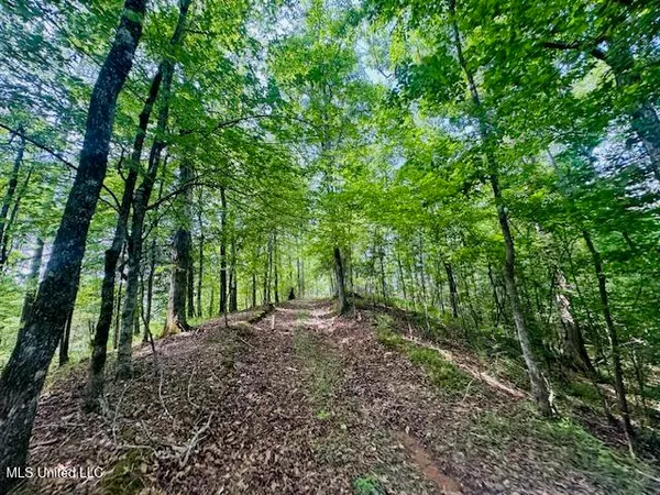 $899,950 | 2360 Sullivan Road, Meadville, MS 39653