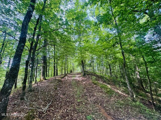 2360 Sullivan Road Meadville, MS 39653 - Photo 36 of 89 IMG_4433