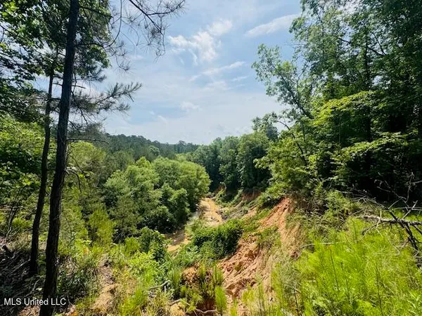 $899,950 | 2360 Sullivan Road, Meadville, MS 39653