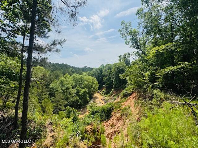 2360 Sullivan Road Meadville, MS 39653 - Photo 38 of 89 IMG_4435