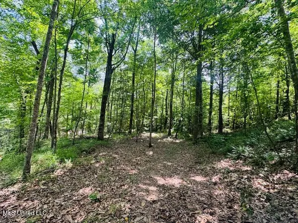 $899,950 | 2360 Sullivan Road, Meadville, MS 39653