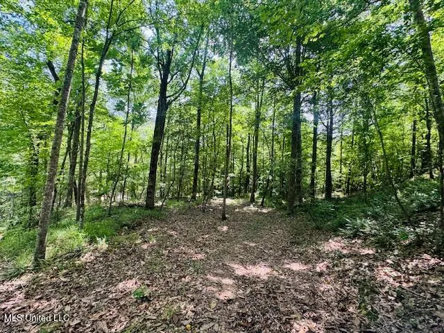 $999,950 | 2360 Sullivan Road, Meadville, MS 39653