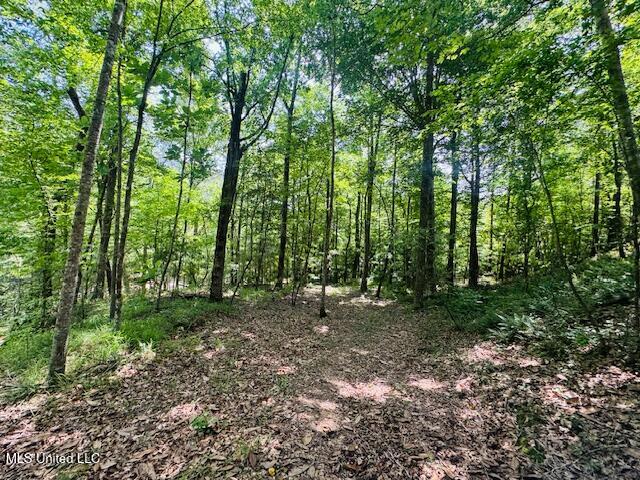 2360 Sullivan Road Meadville, MS 39653 - Photo 39 of 89 IMG_4439