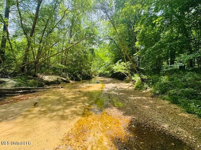 $999,950 | 2360 Sullivan Road, Meadville, MS 39653