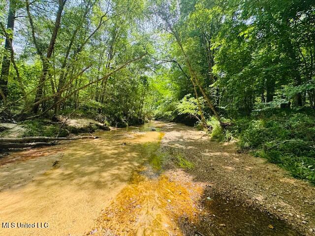 2360 Sullivan Road Meadville, MS 39653 - Photo 40 of 89 IMG_4441