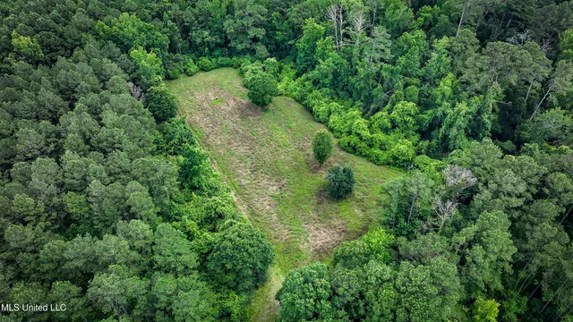 $999,950 | 2360 Sullivan Road, Meadville, MS 39653