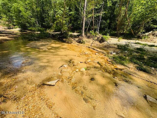 2360 Sullivan Road Meadville, MS 39653 - Photo 41 of 89 IMG_4443