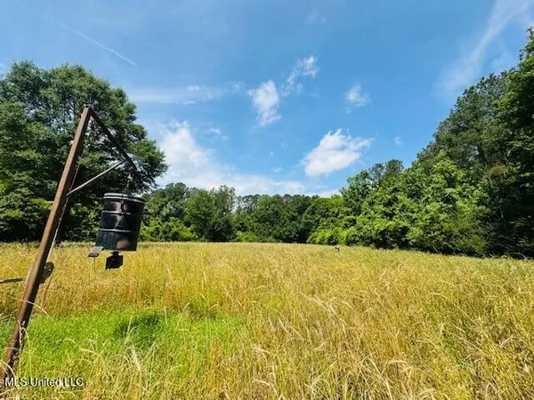 $899,950 | 2360 Sullivan Road, Meadville, MS 39653