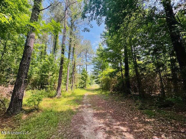 2360 Sullivan Road Meadville, MS 39653 - Photo 44 of 89 IMG_4453