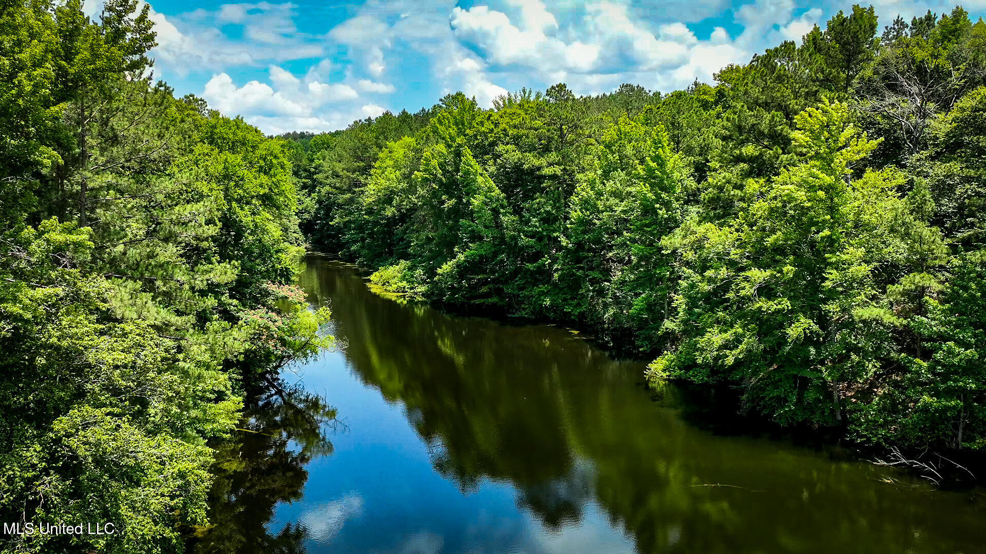 2360 Sullivan Road Meadville, MS 39653 - Photo 87 of 89 lake 2
