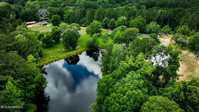 $999,950 | 2360 Sullivan Road, Meadville, MS 39653