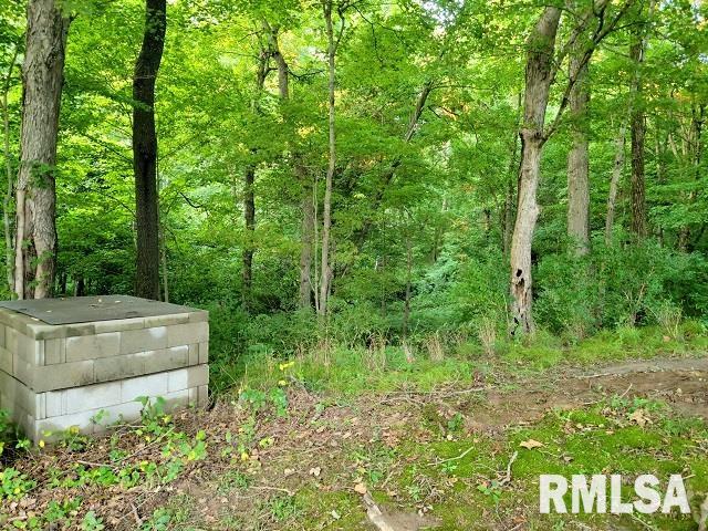 73 Winchester Road De Soto, IL 62924 - Photo 50 of 59 Gallery Image 50