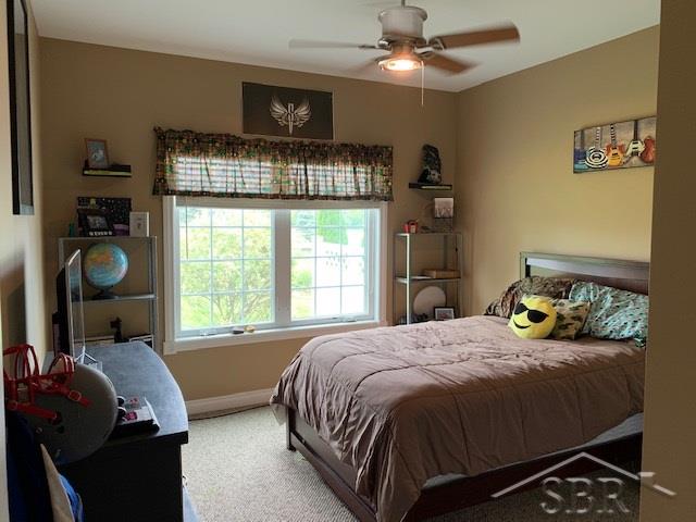10890 Pagels Road Birch Run, MI 48415 - Photo 20 of 34 31393388-19.JPG