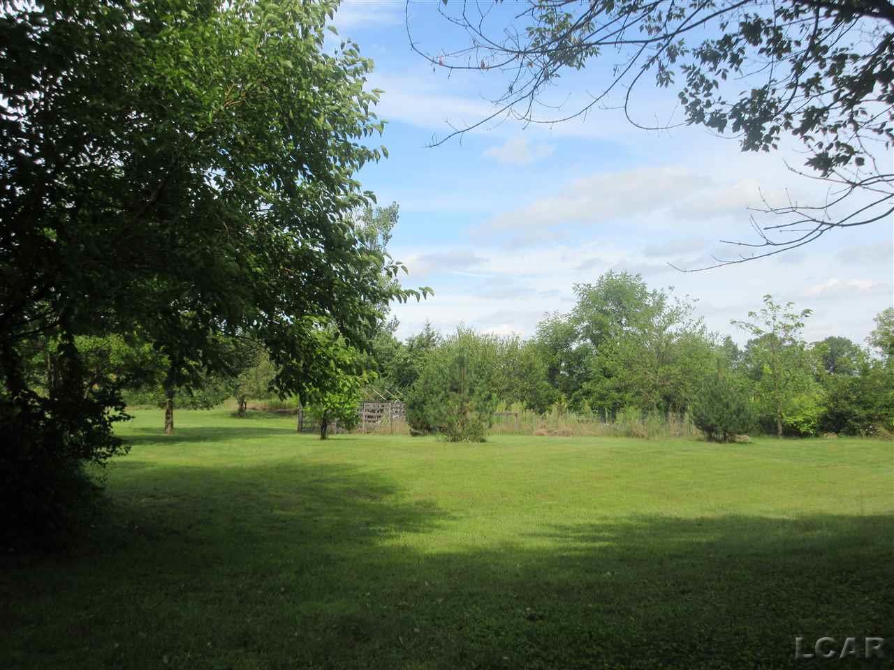 5995 Pawson Road Tipton, MI 49287 - Photo 45 of 53 Privacy Galore