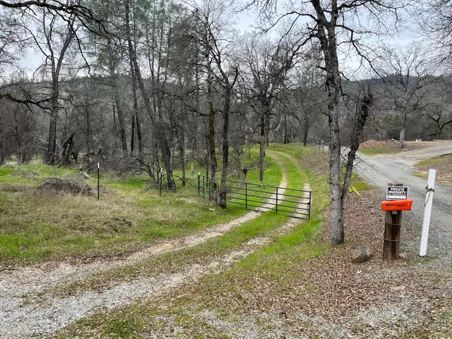 a swimming pool with trees in the background