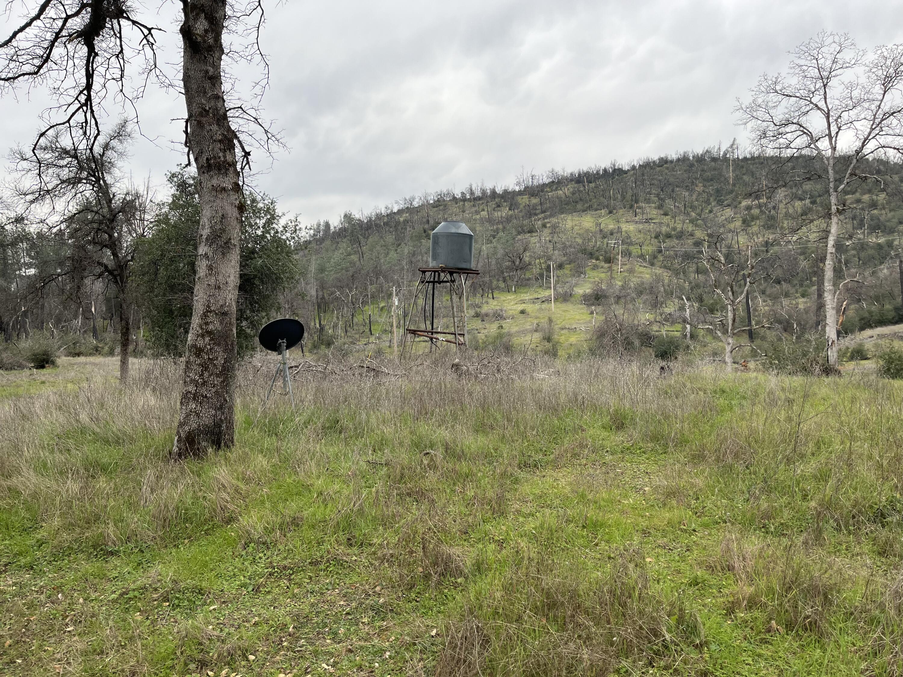 14378 Christian Way Redding, CA 96003 - Photo 5 of 7 IMG_4084