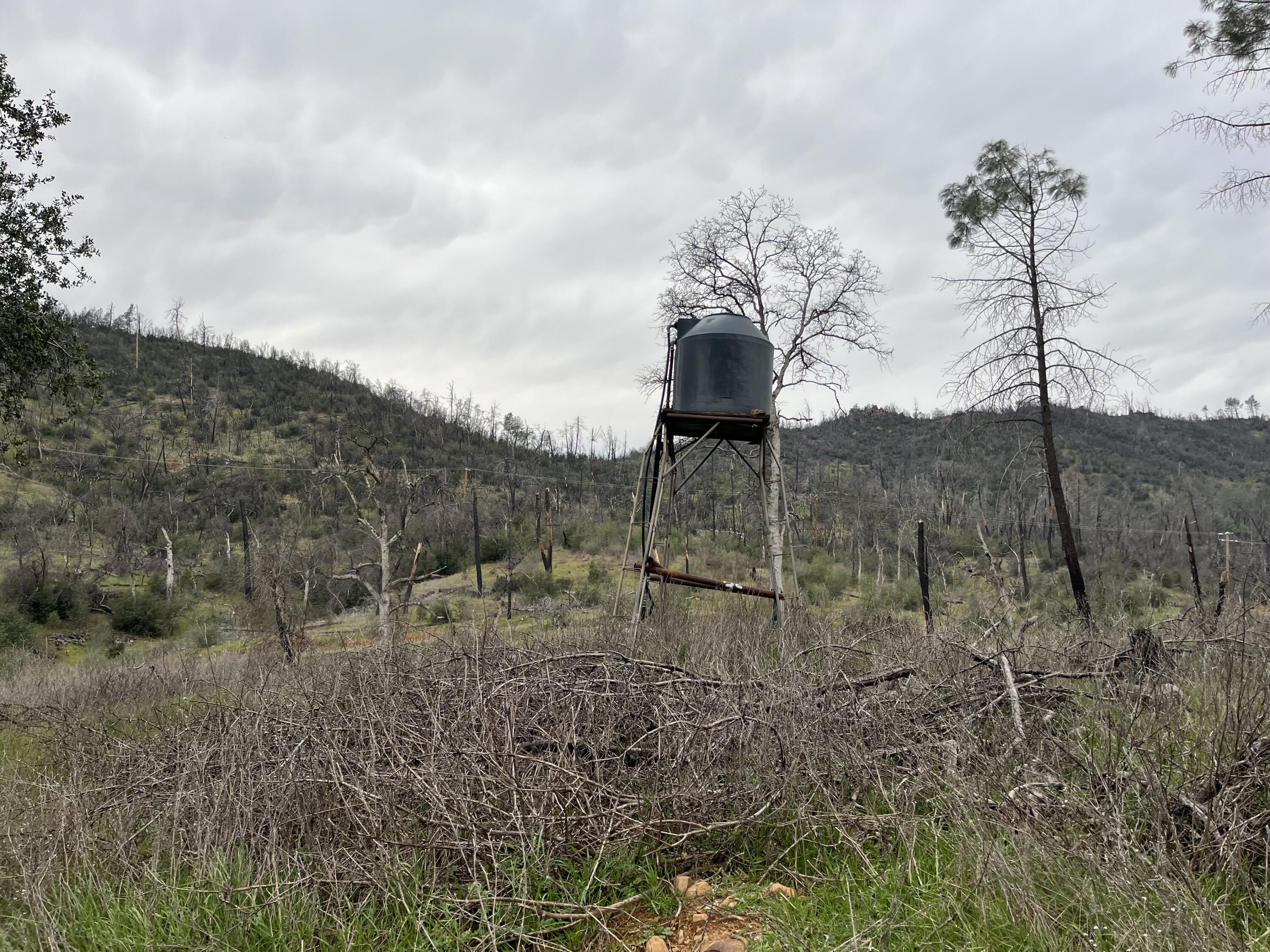 14378 Christian Way Redding, CA 96003 - Photo 6 of 7 IMG_4085