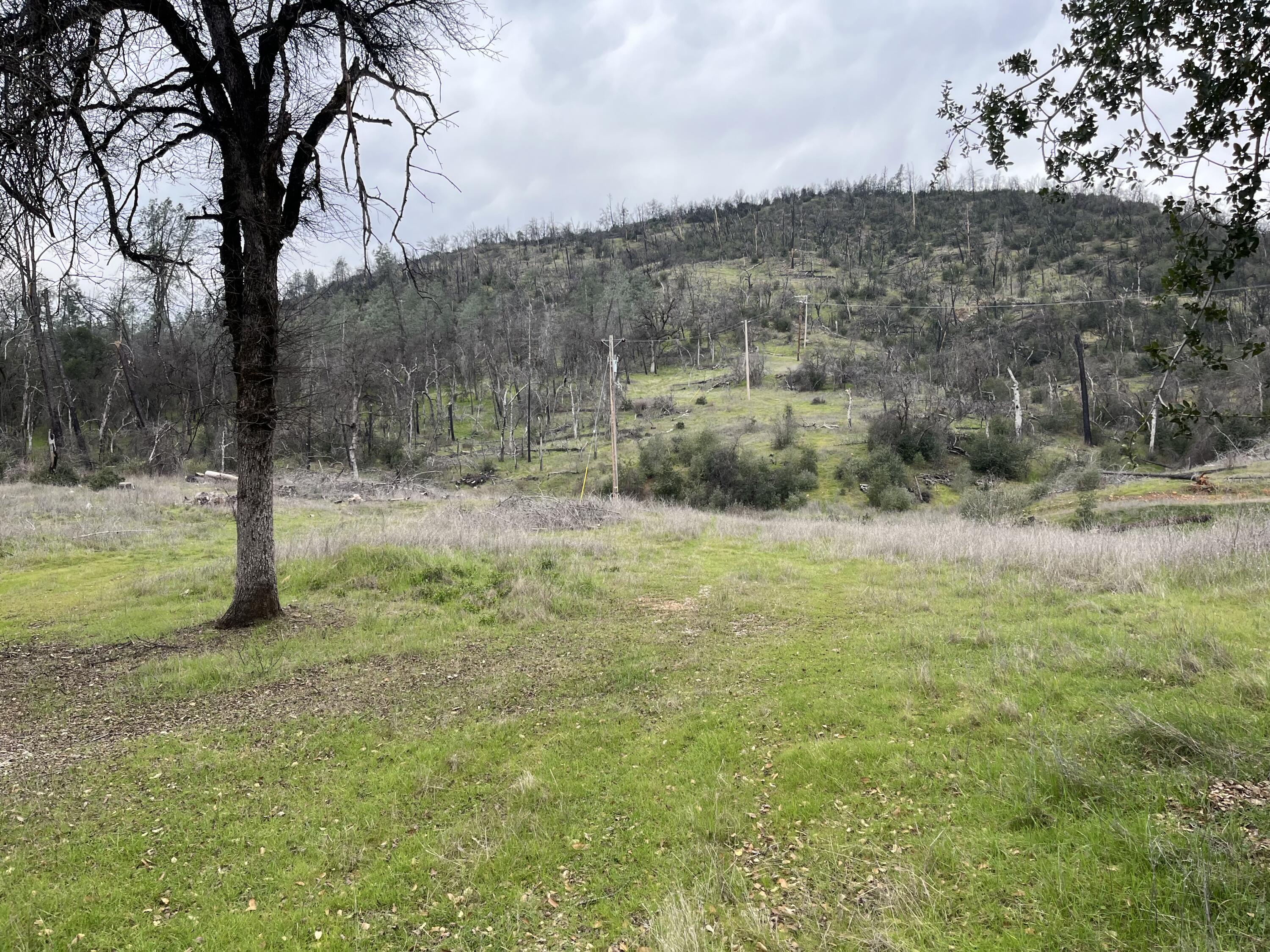 14378 Christian Way Redding, CA 96003 - Photo 7 of 7 IMG_4086