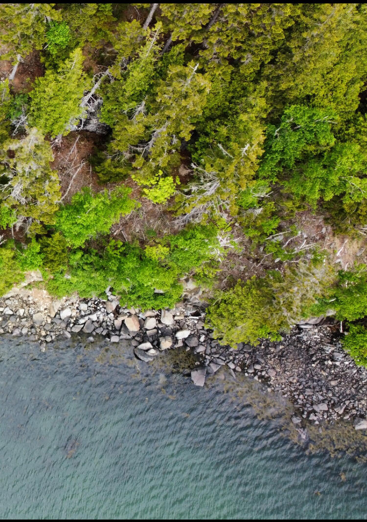 Lot 5 Ripley Neck Road Harrington, ME 04643 - Photo 26 of 39 IMG_8016