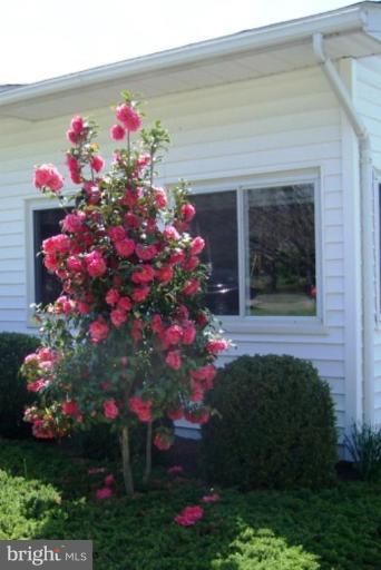 2035 Papas Lane Lusby, MD 20657 - Photo 12 of 12 a flower plants in front of a house