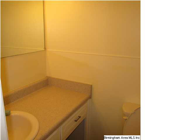 262 Old Mill Road Oneonta, AL 35121 - Photo 10 of 15