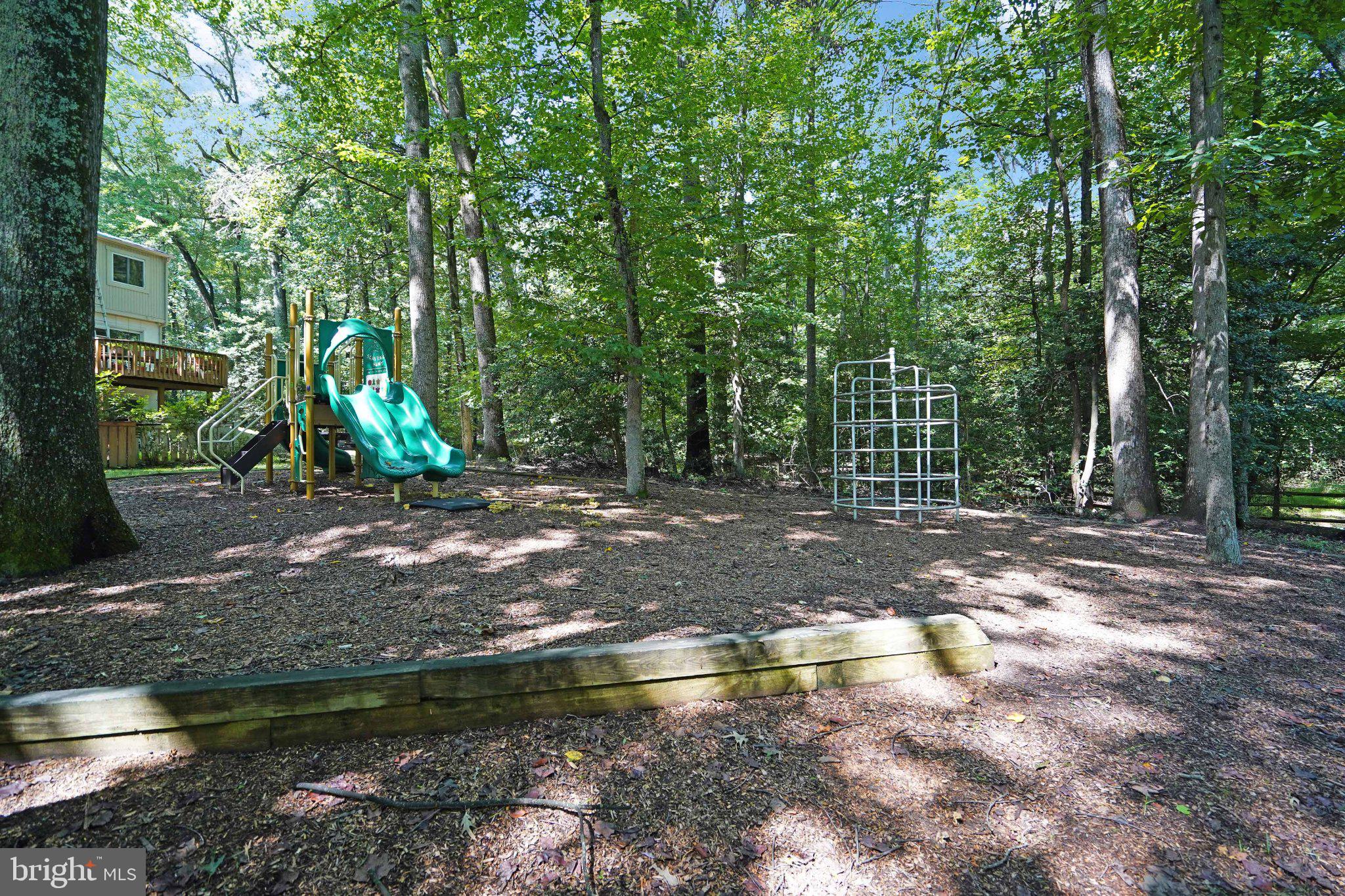 2382 Generation Drive Reston, VA 20191 - Photo 38 of 49 Nature's playground in serene woods.