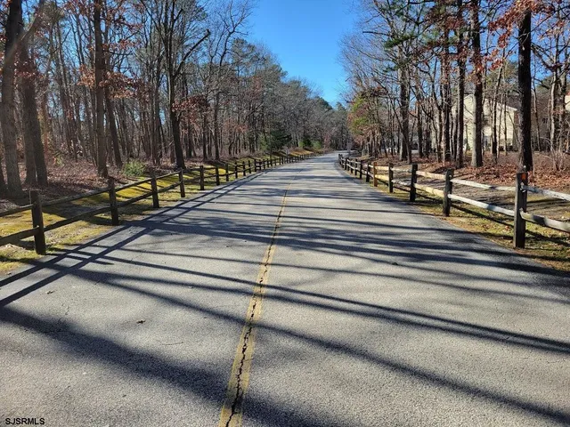 a view of park with tree
