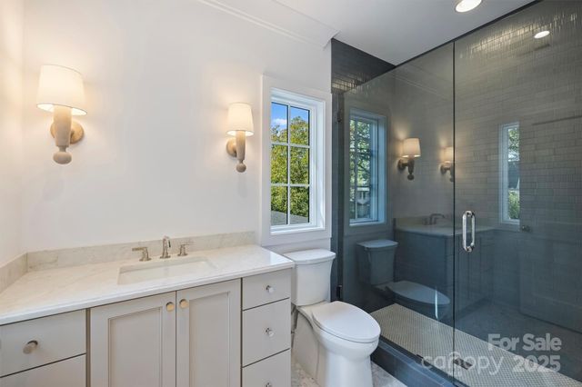 a view of a park with large trees