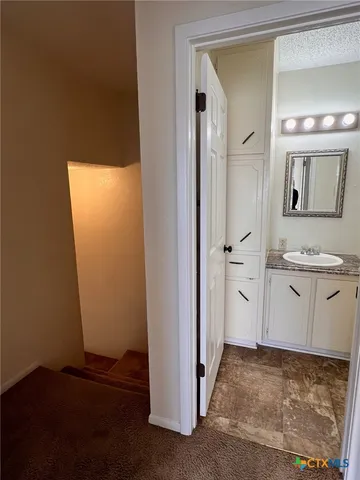 a bathroom with a sink and a mirror