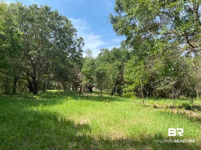 0 Beasley Road Foley, AL 36535 - Photo 3 of 29