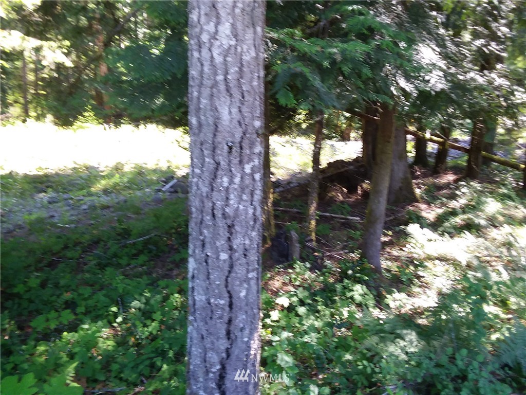 226 Baker Road Randle, WA 98377 - Photo 20 of 22 Gallery Image 20