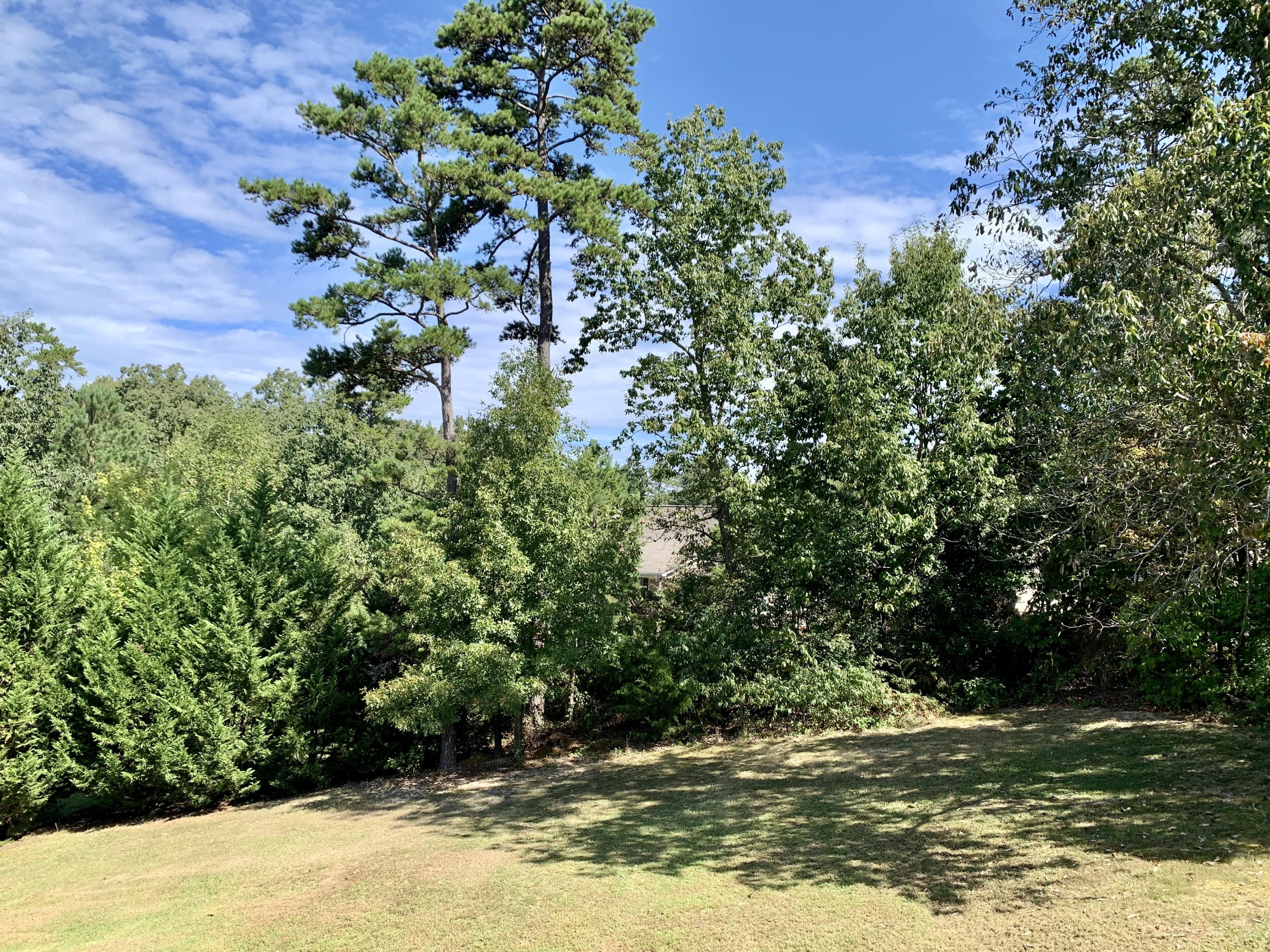 866 Lee Drive Ringgold, GA 30736 - Photo 21 of 26 Private backyard