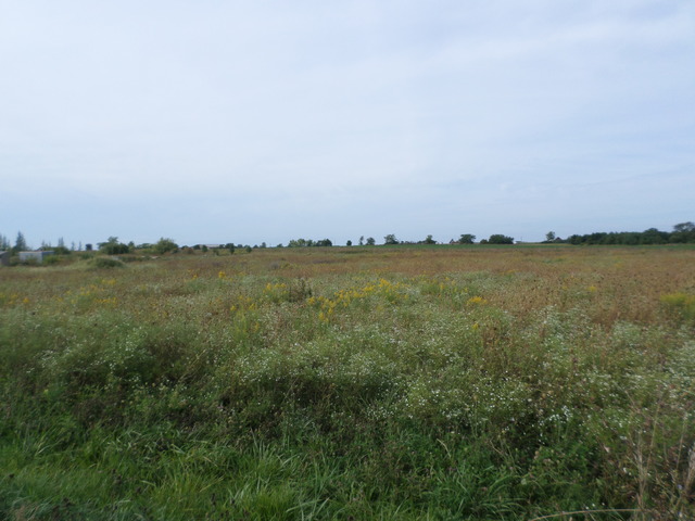 2265 North 3409th Road Ottawa, IL 61350 - Photo 2 of 4