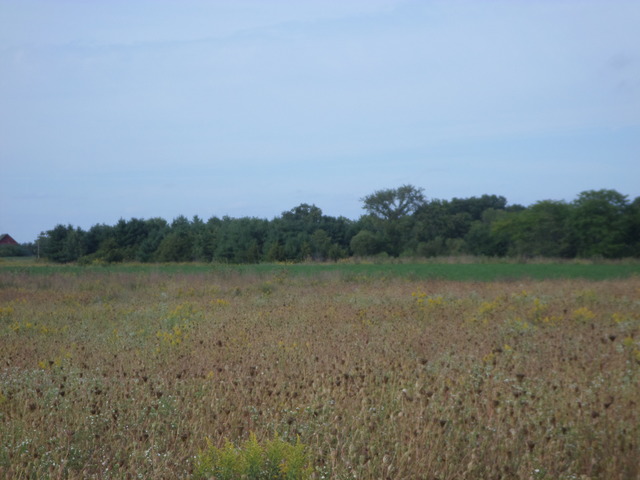 2265 North 3409th Road Ottawa, IL 61350 - Photo 3 of 4