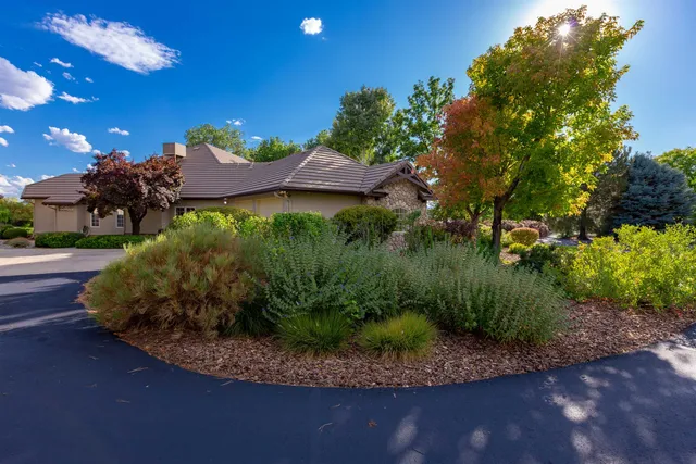 a view of a backyard