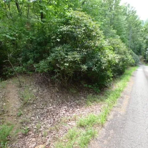 $8,000 | Lot 18 Mountain View Drive, Lowgap, NC 27024