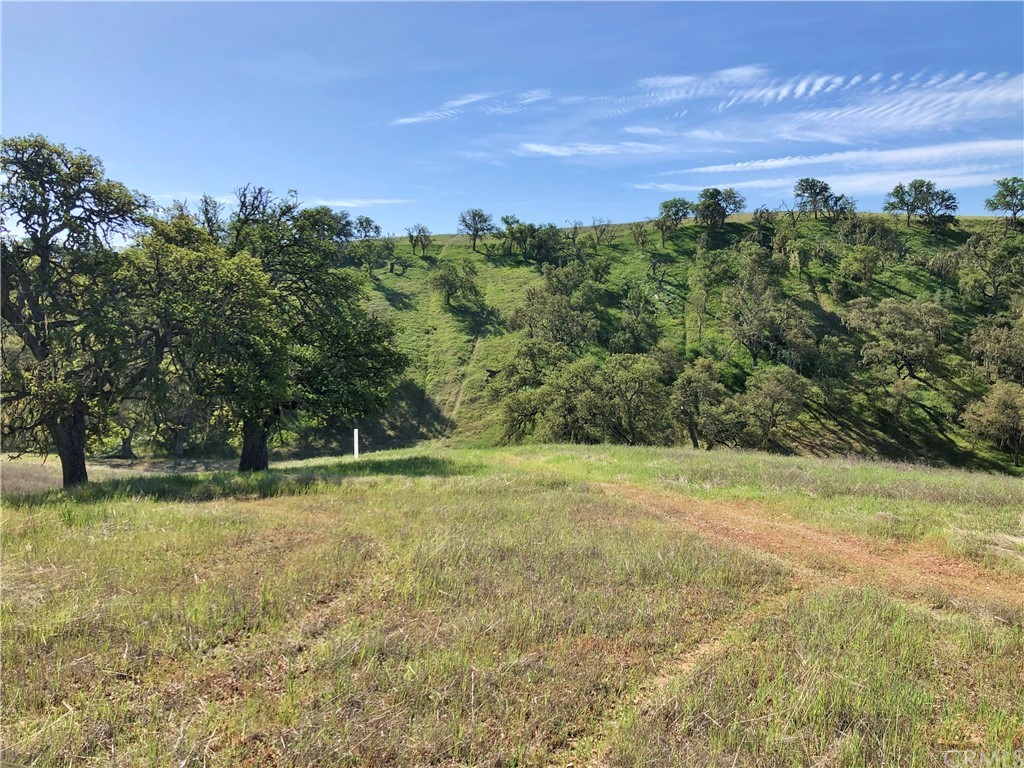 0 Off Ground Squirrel Road Paso Robles, CA 93446 - Photo 1 of 1 Gallery Image 1