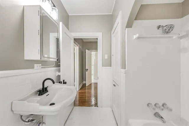 a view of a backyard with plants and large tree