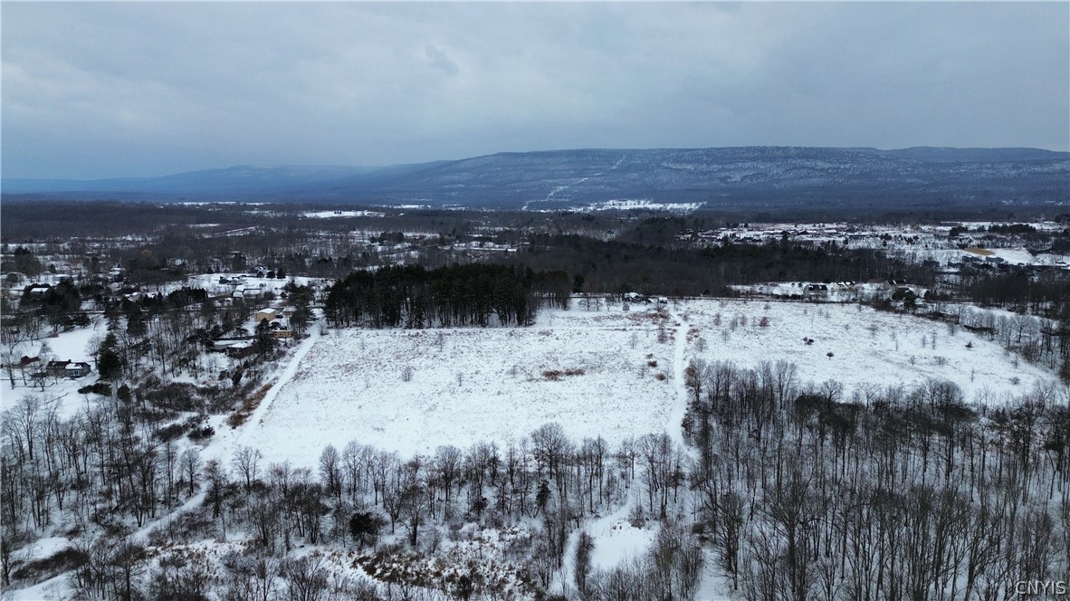 Lot 11 Albany Post Road Wallkill, NY 12589 - Photo 9 of 11