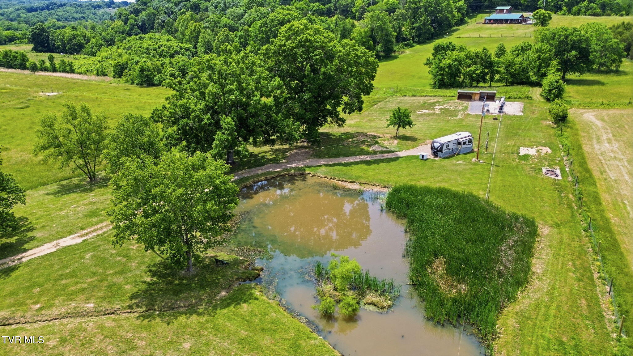 830 Toby Road Mohawk, TN 37810 - Photo 9 of 67 9-web-or-mls-DJI_0113