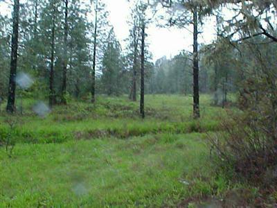 0 Holland Loop Cave Junction, OR 97523 - Photo 1 of 1 Primary Photo
