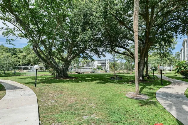 a view of a park with large trees