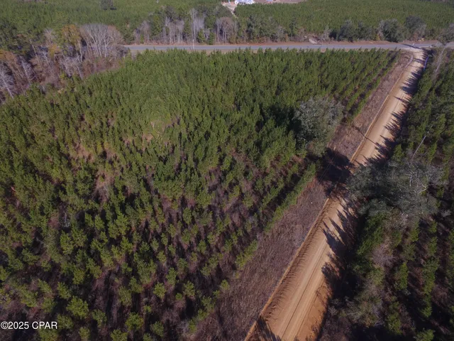 $50,000 | Tbd Lot 1 Tbd Road, Cottondale, FL 32431