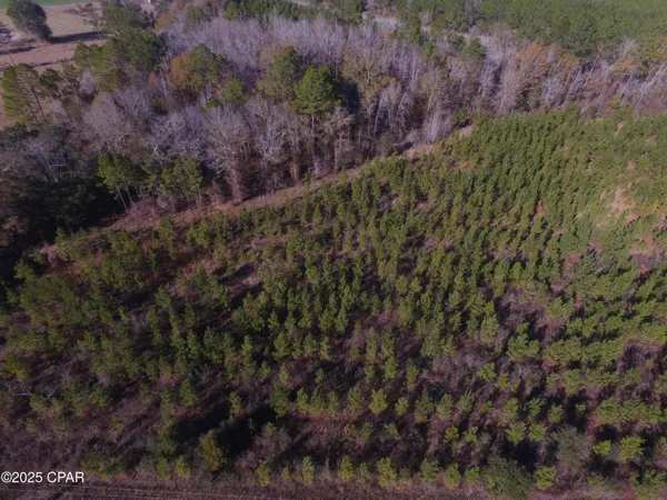$50,000 | Tbd Lot 1 Tbd Road, Cottondale, FL 32431