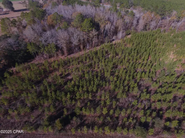 $50,000 | Tbd Lot 1 Tbd Road, Cottondale, FL 32431