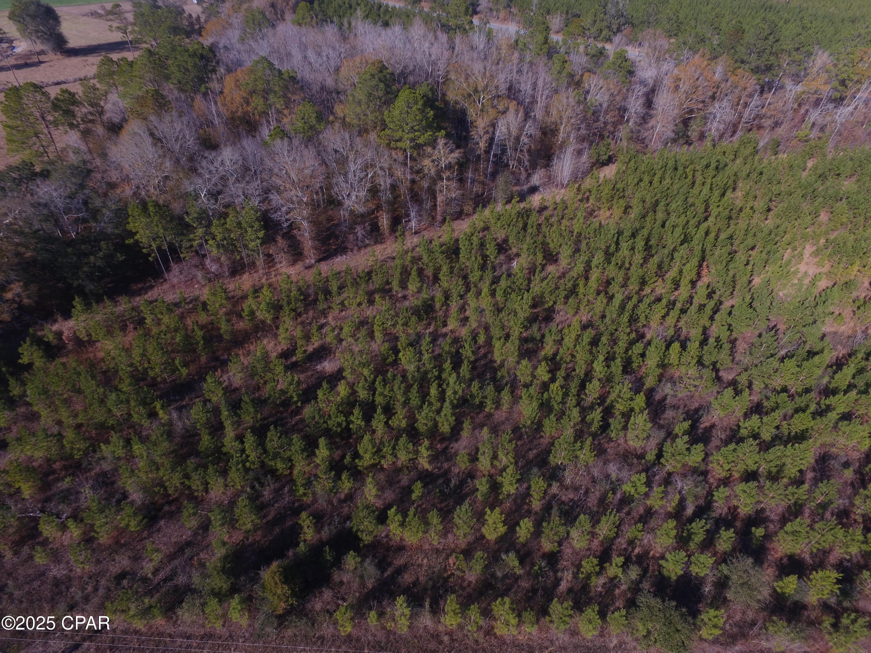 Tbd Lot 1 Tbd Road Cottondale, FL 32431 - Photo 12 of 23