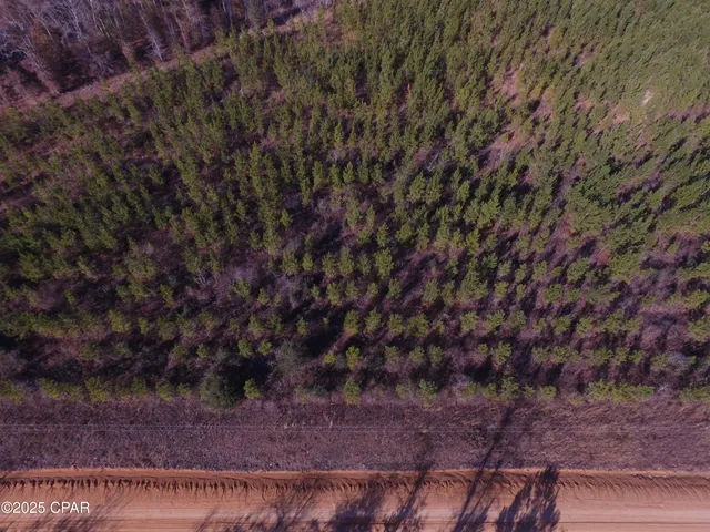 $50,000 | Tbd Lot 1 Tbd Road, Cottondale, FL 32431